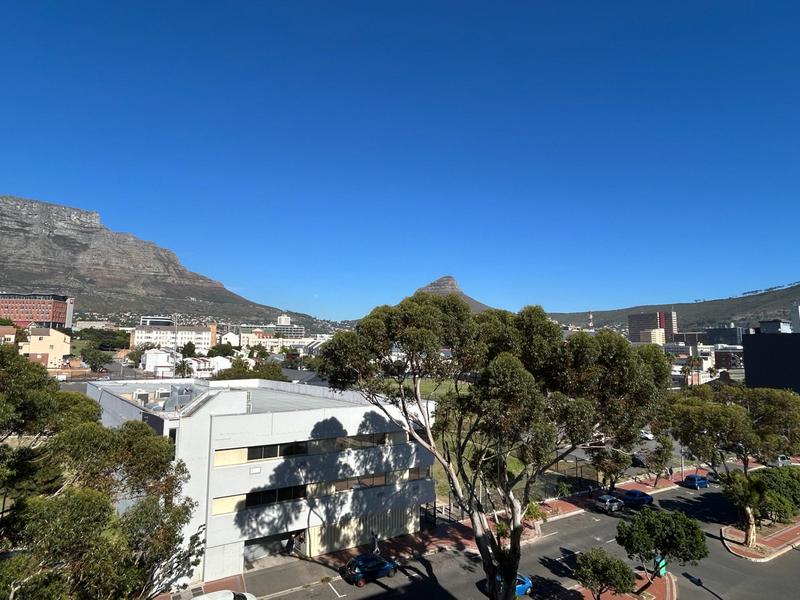0 Bedroom Property for Sale in Zonnebloem Western Cape
